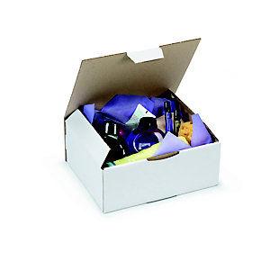RAJA Boîte d'expédition blanche en carton simple cannelure - L.Int. 25 x l.20 x H.10 cm - Lot de 50_0