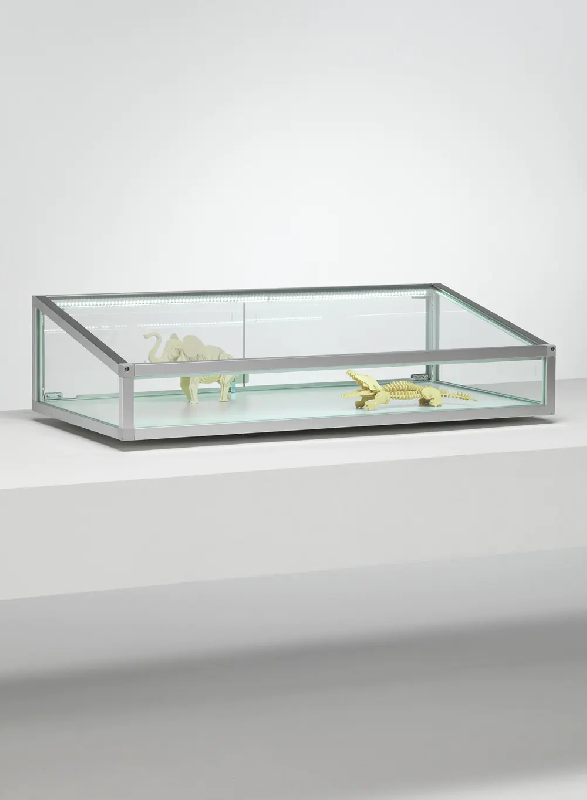 Vitrine plate inclinée C12TBVA - aluminium anodisé - design moderne en aluminium et verre trempé_0