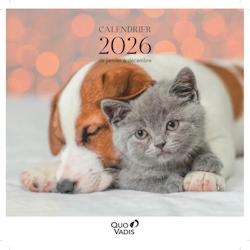 Quo Vadis - Calendrier à feuillets - Spiralé - 2026 - Français - Fantaisie - Multicolore - 12 mois de janvier à décembre - 30x30 cm - 238459Q_0