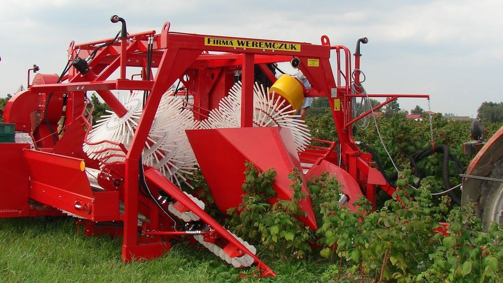 Récolteuse à framboise d'automne natalia-v - weremczuk - puissance minimale requise 60 hp - productivité 0.20 à 0.30 ha/h_0