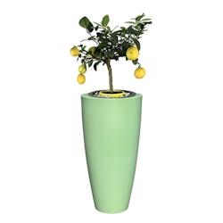 Plast&ampampamp#039Up Rotomoulage Pot de fleurs conique delight 200l - VERT PISTACHE - vert 0637962081978_0