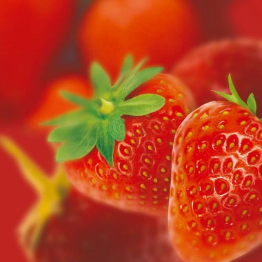 Fruit surgelé fraise (senga sengana)