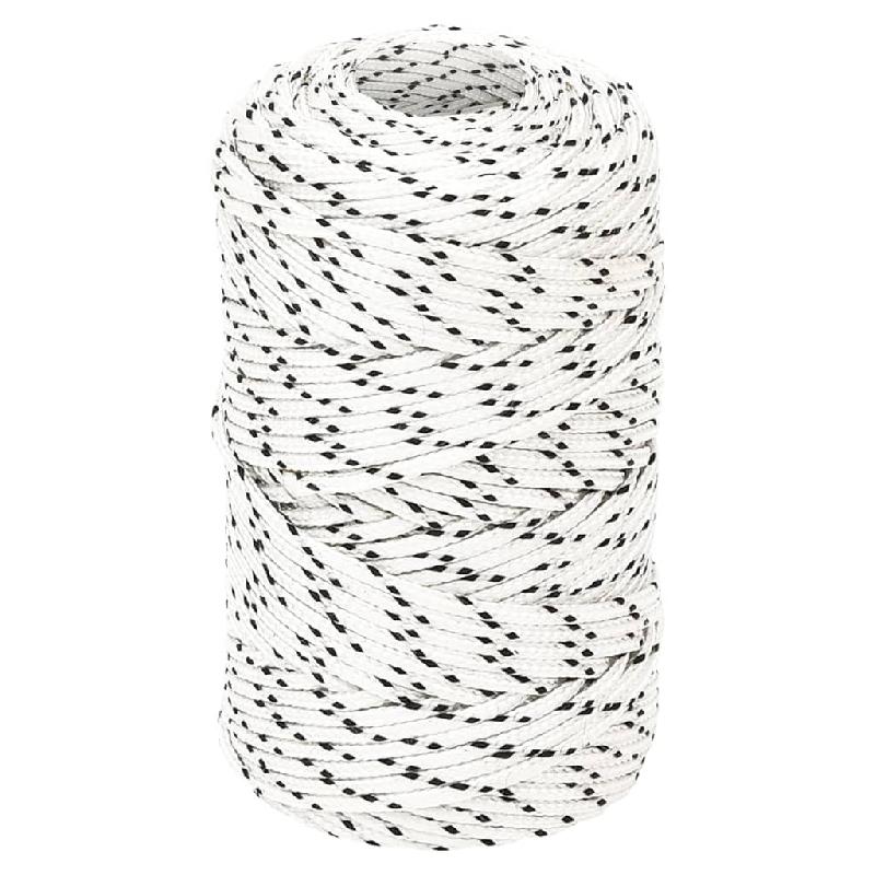 Vidaxl corde de bateau tressé blanc 2 mmx100 m polyester 152743_0