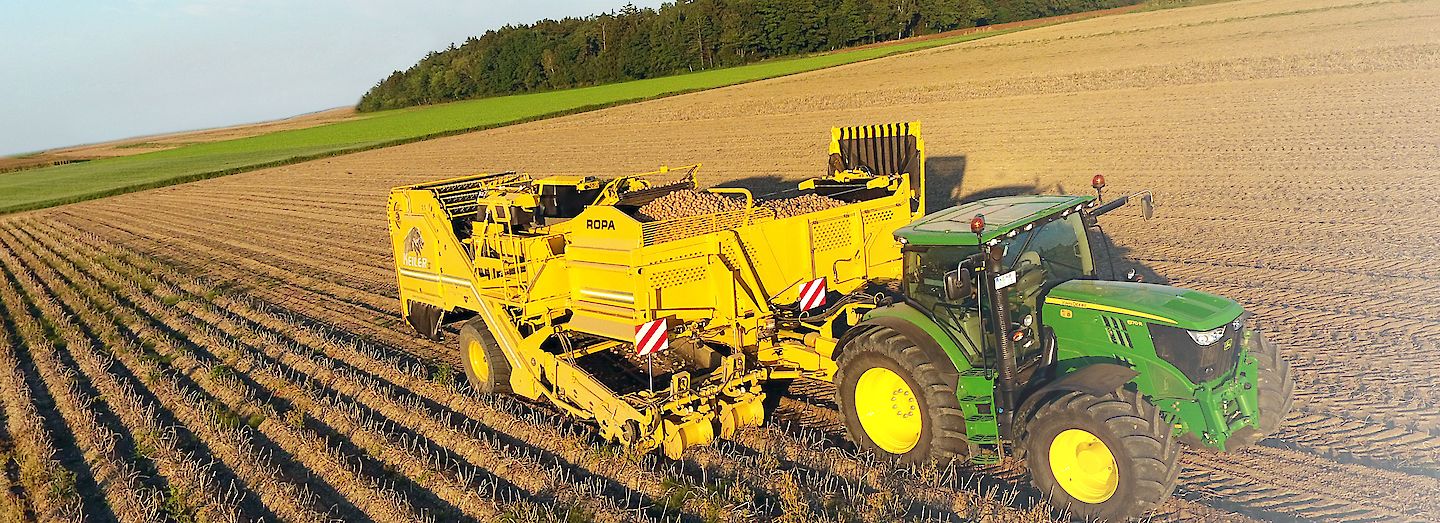 Arracheuse de pommes de terre avec entraînement hydraulique pour nettoyage optimisé