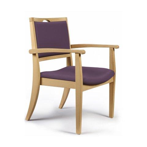 BRIDGE BARIATRIQUE CHR32BE AVEC ACCOUDOIRS - VIOLINE