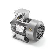 Mia - moteur atex antidéflagrant - Elvem - hauteur d’axe de 56 à 160 - 0,06kW à 22kW_0