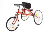 Frame runner PETRA_0