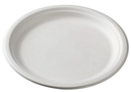 ASSIETTE JETABLE SOLIA PULPE DE CANNE 26 CM (VENDU PAR 500)