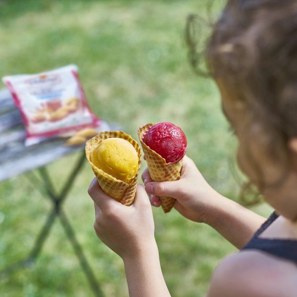 de glace tous les fournisseurs de glace