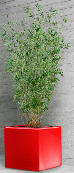 Jardinière Cubico - Forme cubique - Bac étanche 65L avec réserve d'eau et thermolaquage RAL_0