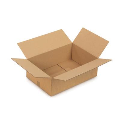 Caisse carton brune simple cannelure RAJA 50x40x30 cm, lot de 20_0