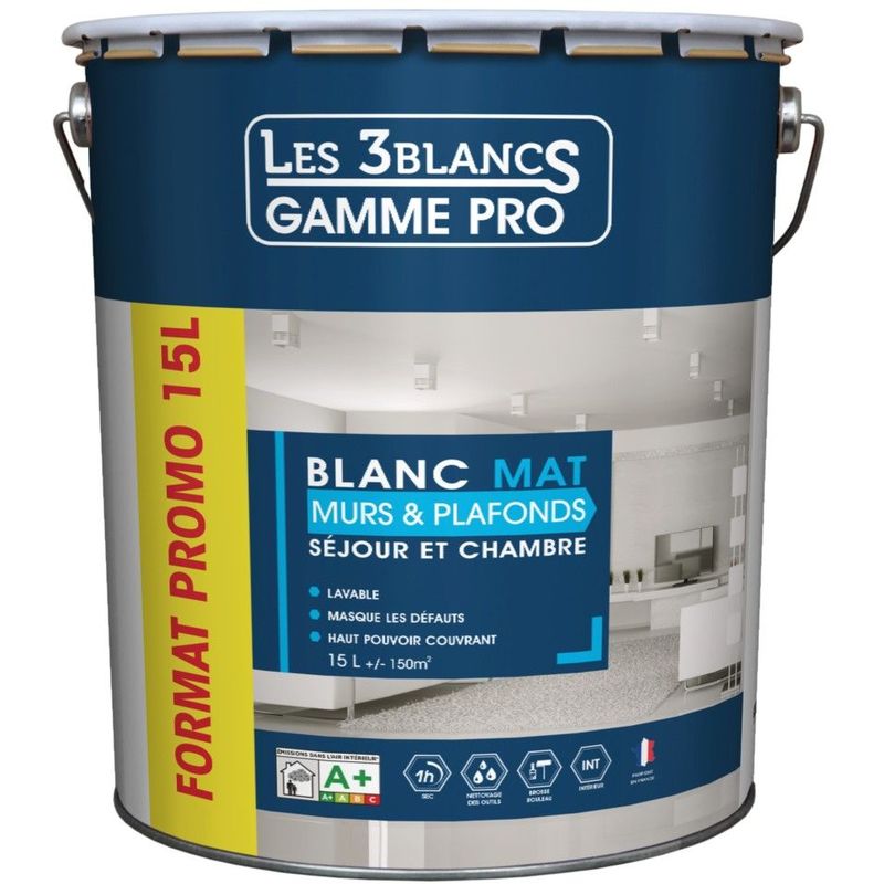 Combien De Litre De Peinture Pour 100m2