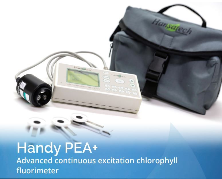 Hansatech handy pea plus fluorescence chlorophyllienne excitation continue_0