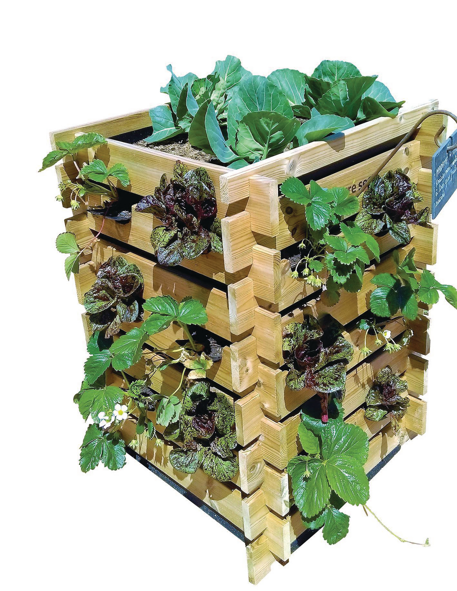 CARRÉ POTAGER TOUR