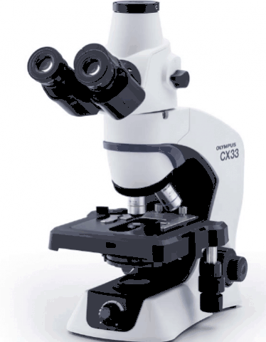 Cx33 - microscope droit_0