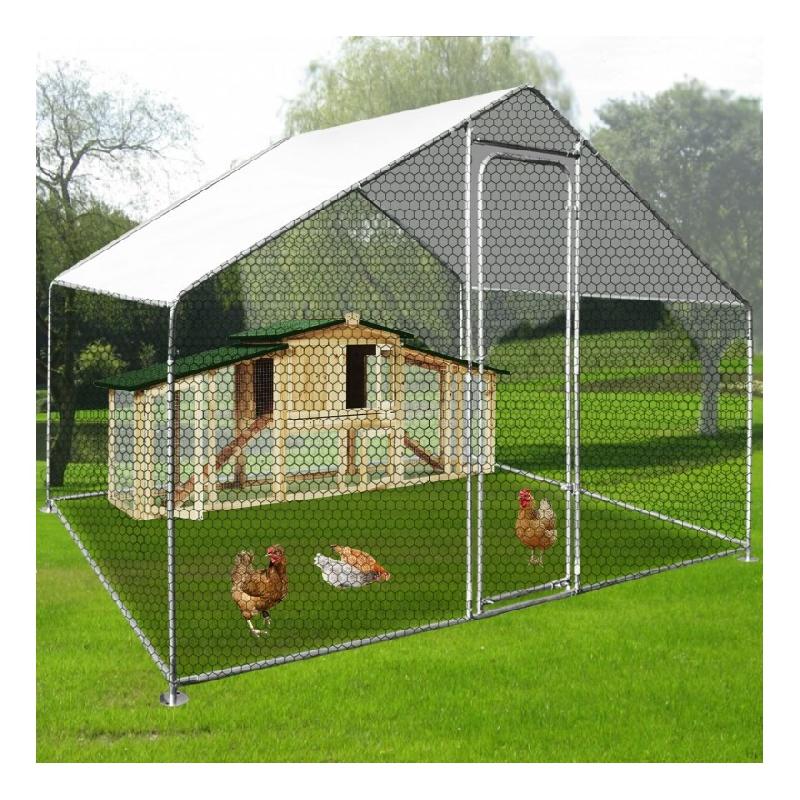 Poulailler 2 Poules Sélection De Modèles Pas Chers