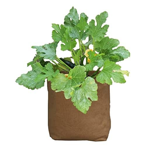 Haxnicks HEMP040101 - Pot de fleurs en chanvre 40 L - Biodégradable et compostable_0