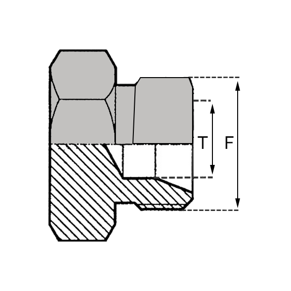 Bouchon mâle - LOBTM00006 - 6.0mm - Filetage F 12X150_0