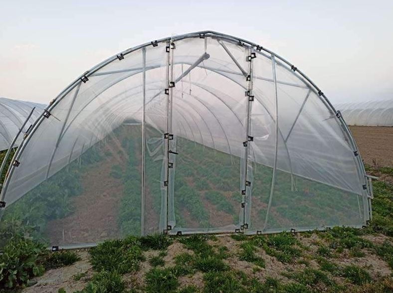 Serre tunnel  à travée unique - Montage et démontage rapides - conçue pour la Production horticole - Tunneleasy_0
