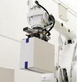 Palettiseur de fin de ligne - robot palettiseur pour boîtes ou produits en vrac_0