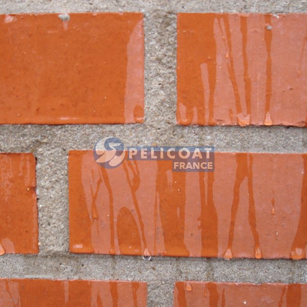 Pelicoat Wall - Hydrofuge de surface pour murs et façades - Traitement protecteur imperméabilisant_0