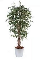 PLANTE FICUS LIANE + POT - PLANTE ARTIFICIELLE D'INTÉRIEUR FICUS LIANE PETITES FEUILLES