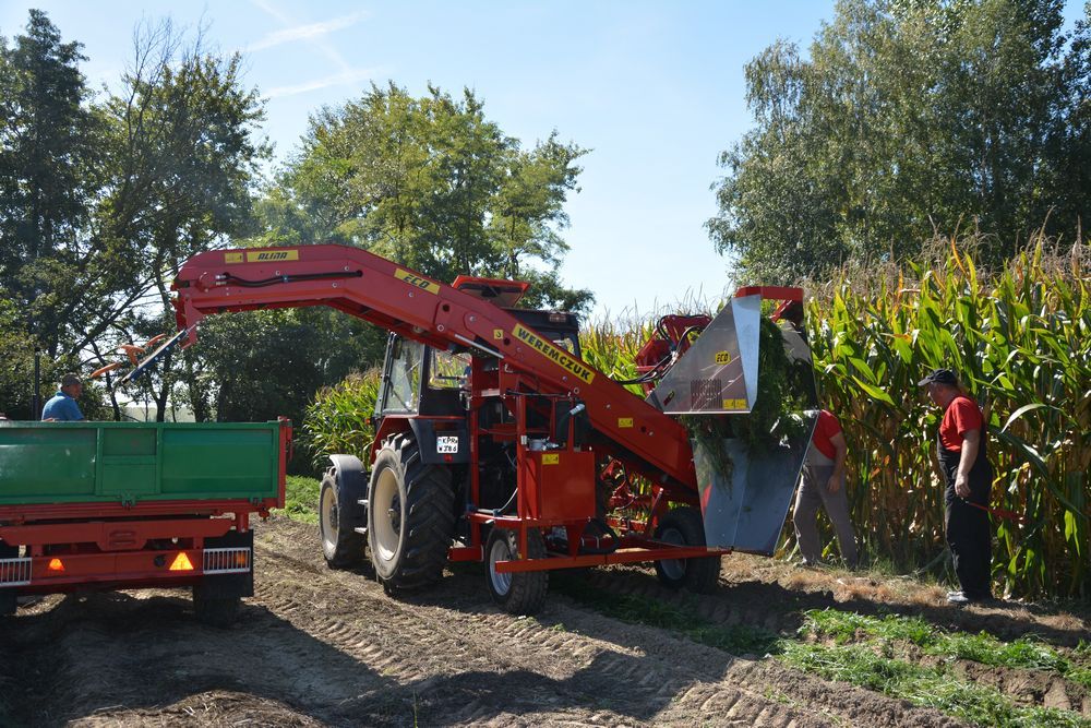 Récolteuse à carottes alina eco ii - weremczuk - productivité 0.06 à 0.10 ha/h - puissance tracteur requise 75 ch_0