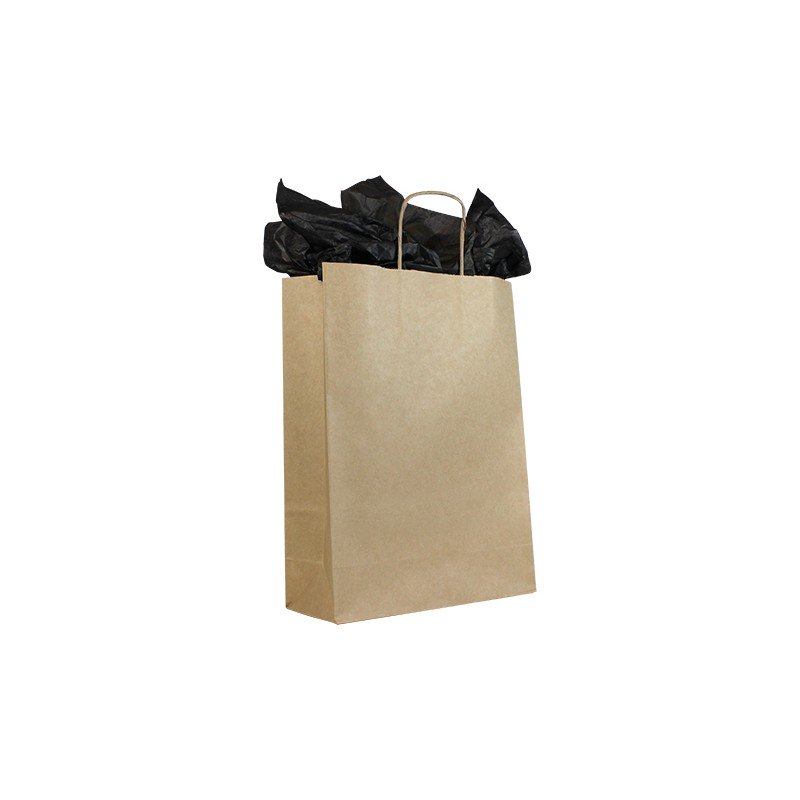 Sac papier kraft lisse économique_0