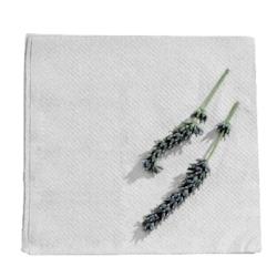 FHC evolupack FHC - 3 000Pcs - Serviette ouate blanche 1 pli  300x300mm - blanc papier 210S30301P_0