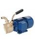 Pompe ATEX - Algi Industrie - Bronze - Anneau liquide auto-amorçante - 40x30x30 cm_0