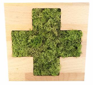 Signalétique végétale pour pharmacie - image végétale 100% bois brut et végétal - 20 cm x 20 cm_0