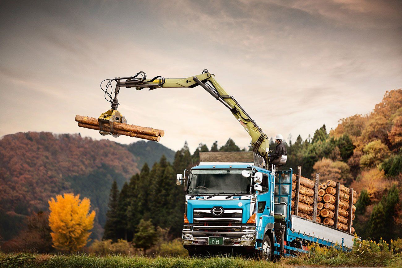 Loglift 105z grues forestières - hiab - d'une portée des extensions hydrauliques de 7,75 m et 8,98 m_0