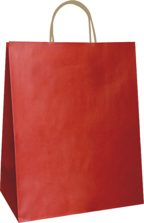 Sac kraft couleur haute résistance 100g - poignées torsadées - plusieurs formats et couleurs_0