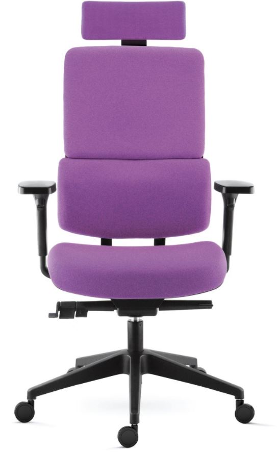 Siège ergonomique Sokoa Wi-Max 1TT - dossier tapissé, renfort lombaire, accoudoirs 3D et têtière_0