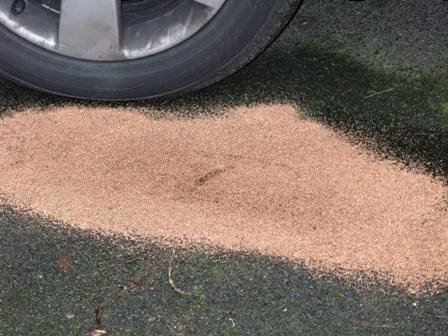 Granulé absorbant écologique tous liquides - 100 % liège - Sac de 40 litres - Réf. LISORB GH TL_0