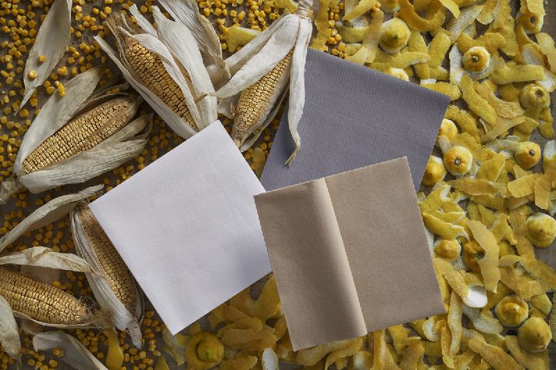 SERVIETTES GRIS NON TISSÉ 40 CM X 40 DM BIO DUNISOFT  (60 PIÈCES)