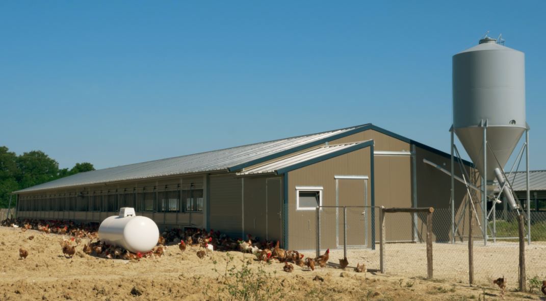 Bâtiment d'élevage deux pentes en profil acier galvanisé, pouvant accueillir des panneaux photovoltaïques en toiture_0