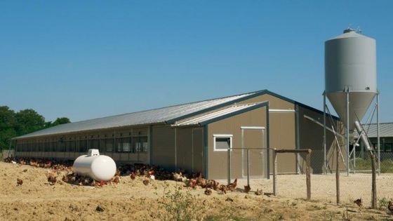Bâtiment d'élevage deux pentes en profil acier galvanisé, pouvant accueillir des panneaux photovoltaïques en toiture_0