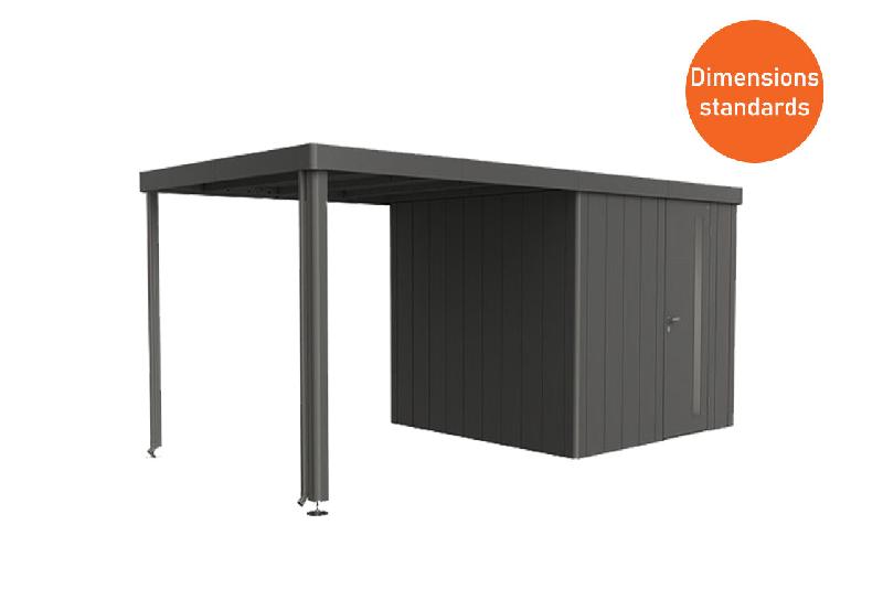 Abri modern avec auvent - 348 / 236_0