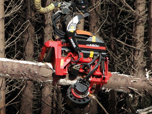 H480C - tête d'abattage Waratah - 1 350 kg / 2 976 lb - puissance de coupe et ébranchage de qualité_0