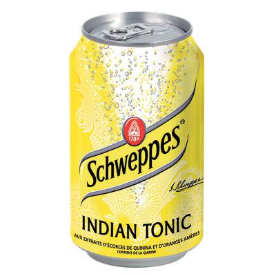 Soda Schweppes Indian Tonic, en canette, lot de 24 x 33 cl_0