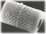 Filtre à boues en diatomite - Pour filtration de l'eau, huiles, vin, bière et plus_0
