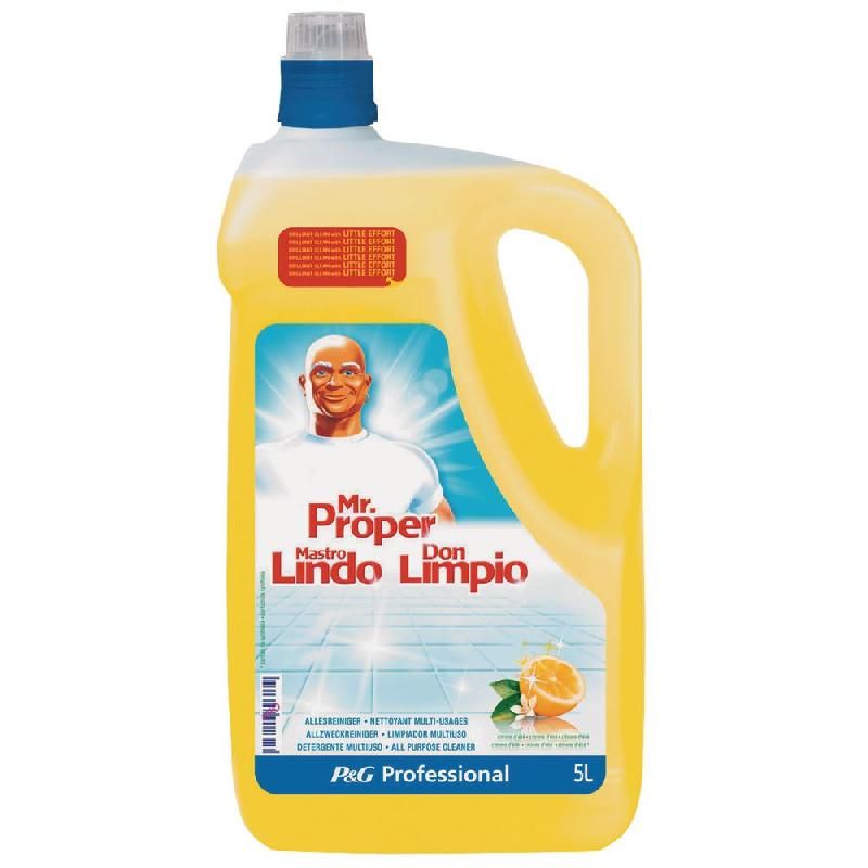 P&G PROFESSIONAL BIDON MR PROPRE - NETTOYANT MULTI-USAGE - CITRON - 5 L