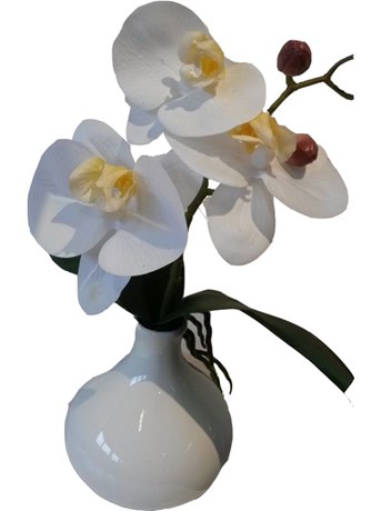 PETITE ORCHIDÉE 22 CM