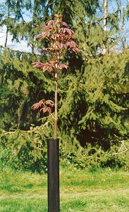 Protège-tronc en polyéthylène - 11 cm x 55 cm - Traitement anti-UV - Lot de 120 protections_0