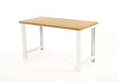 Etabli de base standard réf 41004022.16v_0