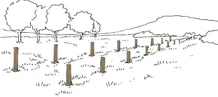 STRUCTURE PARCOURS DE SANTÉ SAUTE MOUTON - CARDIO 2022_0