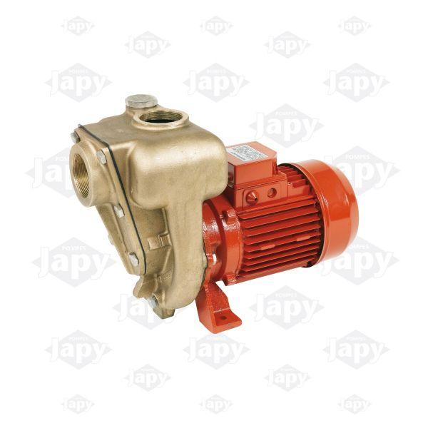 Électropompes auto-amorçantes - Corps et turbine en bronze - Débit jusqu'à 29 m3/h_0