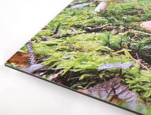 Impression sur plaque aluminium décorative - Formats 60x40, 60x80, 120x40 ou 120x80 cm - Exaprint_0