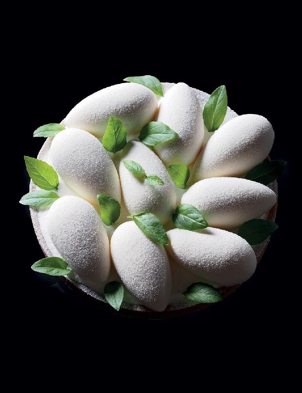 Moule Mini Quenelles Tonda 3D Pavoflex  Pavoni Italia - 100 empreintes_0